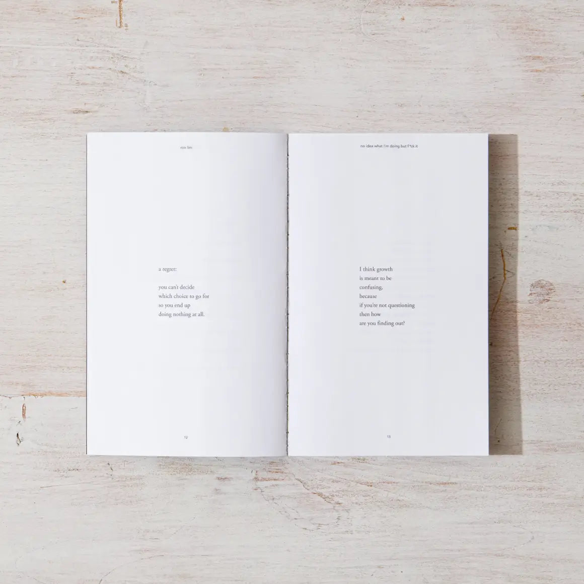 No Idea What I'm Doing But F*Ck It - Book