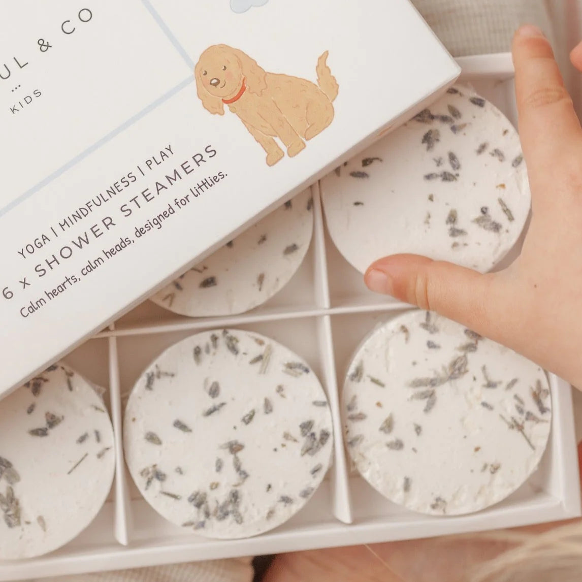 Sensory Shower Steamers- Kids