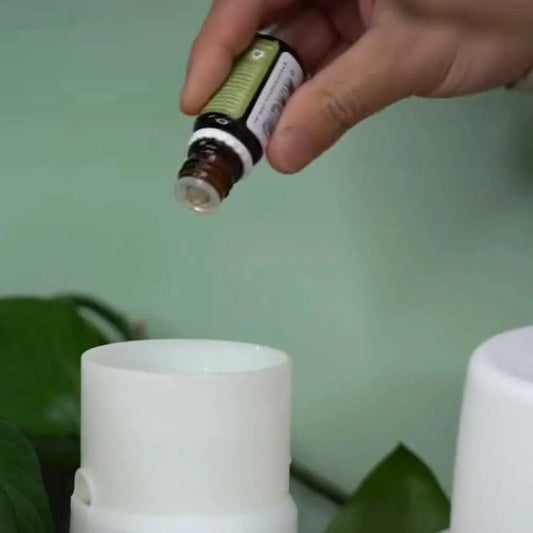 Good Riddance – Soulful Earth