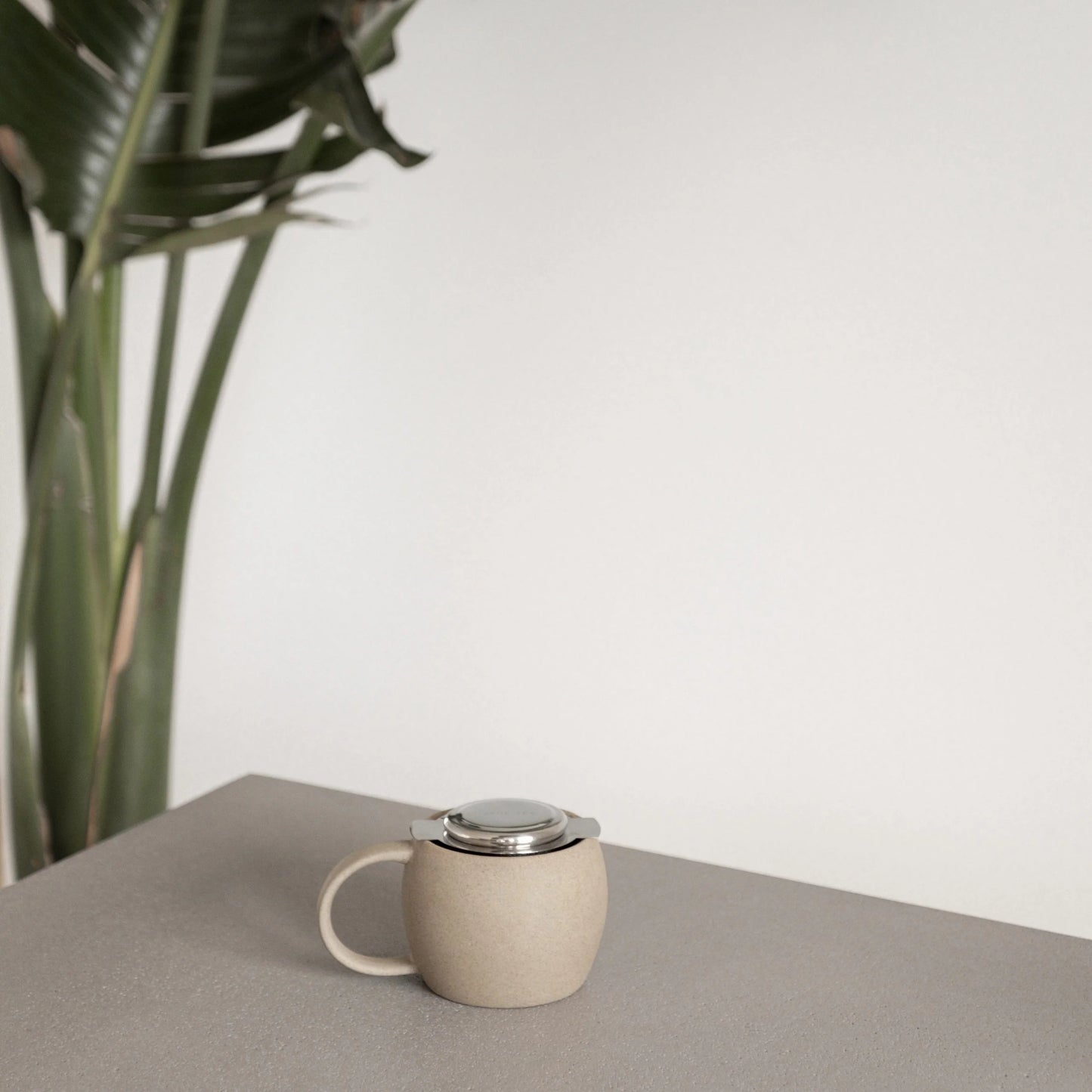 Stainless Steel Infuser